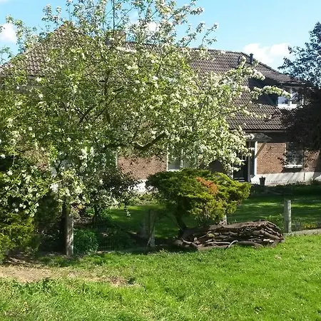 De Zwaluw