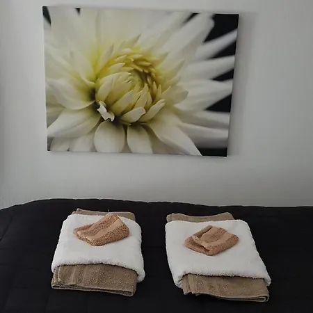 De Zwaluw Bed & Breakfast *