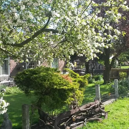 Bed & Breakfast De Zwaluw